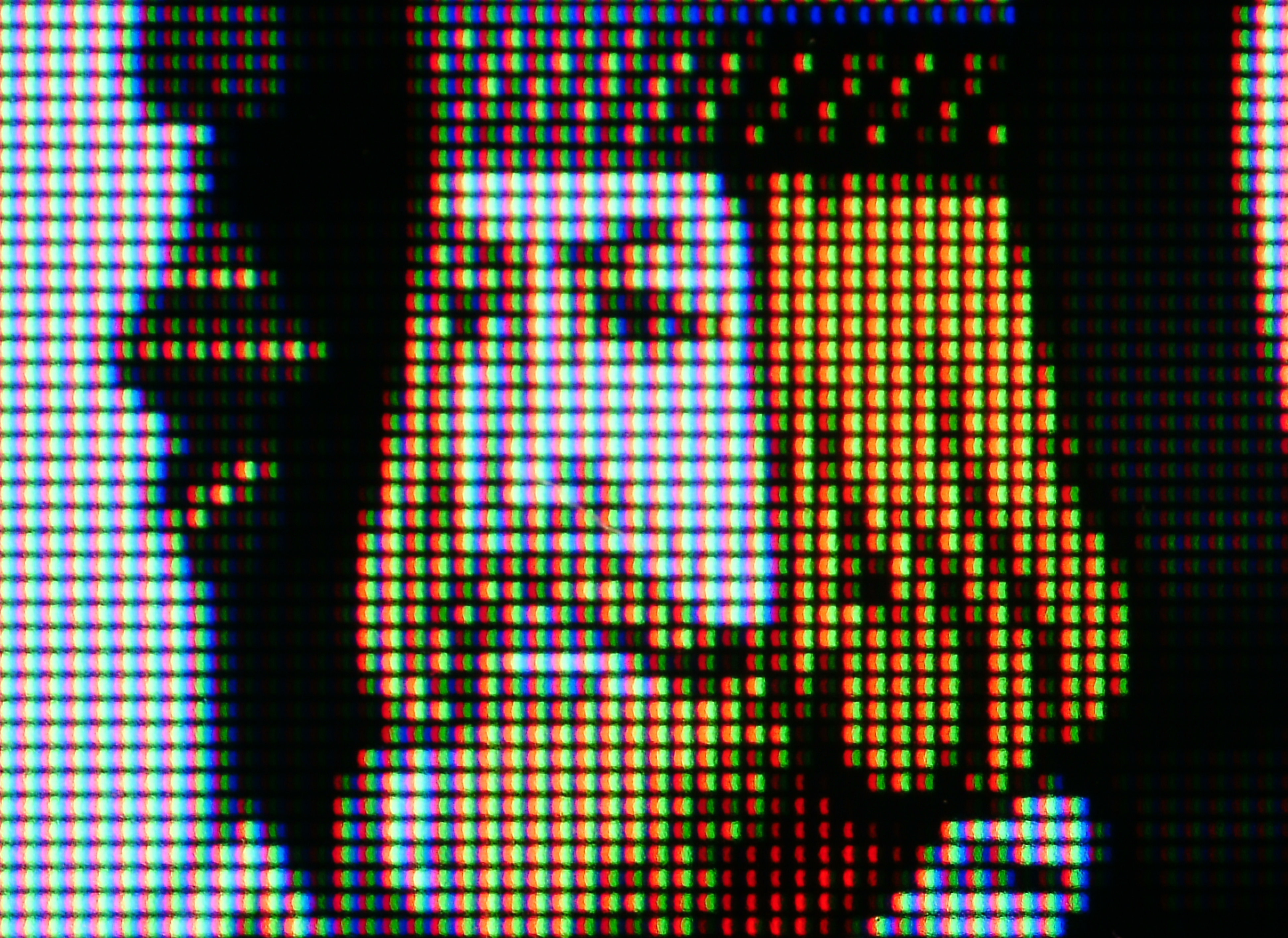 光学30倍の顕微鏡写真