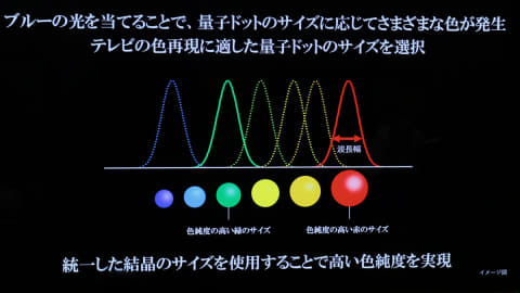 4Kレグザの色はなぜリッチ? 広色域技術「量子ドット」の秘密 - AV Watch
