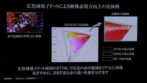 4Kレグザの色はなぜリッチ? 広色域技術「量子ドット」の秘密 - AV Watch