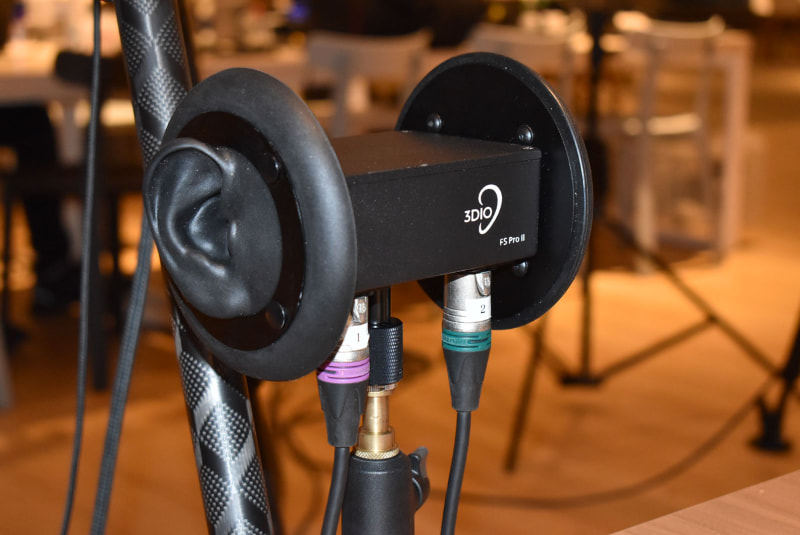 3DioのFree Space ProII