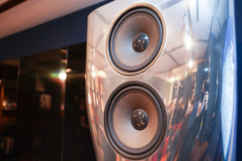 PHILIPSヴィンテージスピーカー ペア 金と銀の競演 PHILIPS