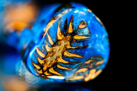 NOBLE AUDIO、静電型も搭載した“皇帝”カスタムIEM「SULTAN C」 - AV Watch