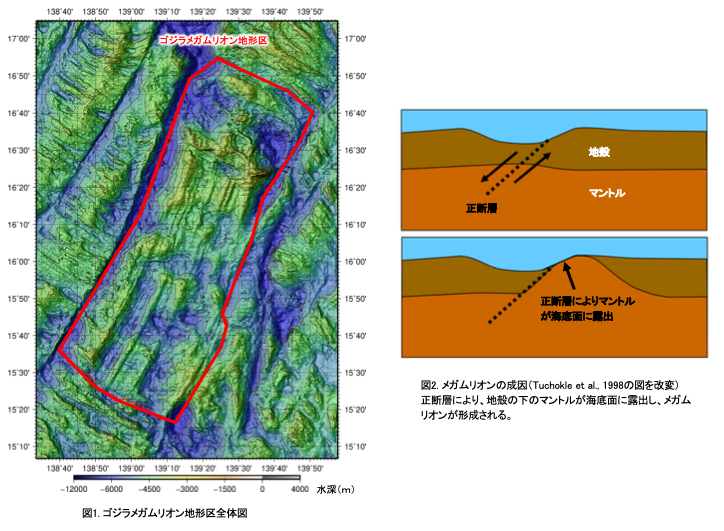 メガムリオンは、マントル物質などが露出したドーム状の高まりを指す