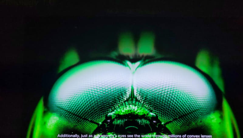 トンボの目が広い世界を見るように、マイクロレンズアレイ効果で視野角が拡張した