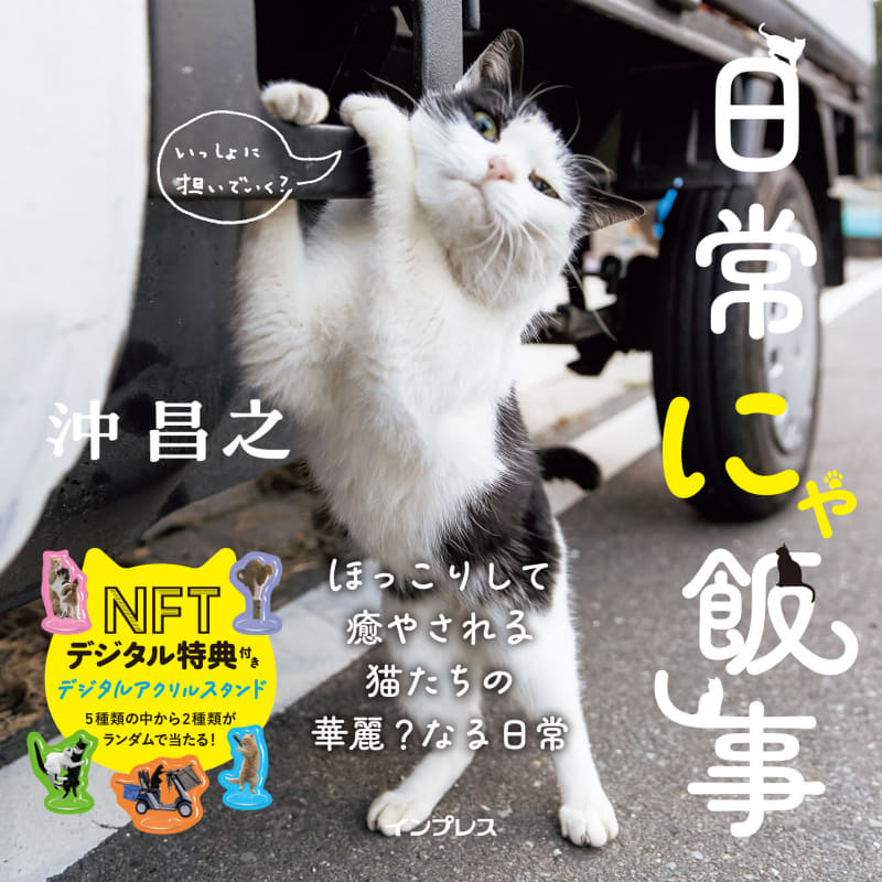 写真集「日常にゃ飯事」