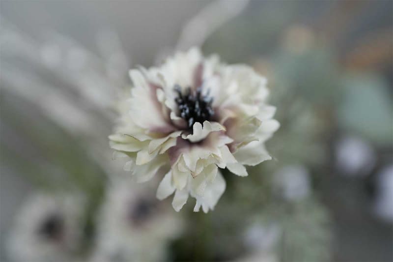 「FE 16-35mm F2.8 GM II」は最短撮影距離が0.22m、最大撮影倍率が0.32倍に強化された