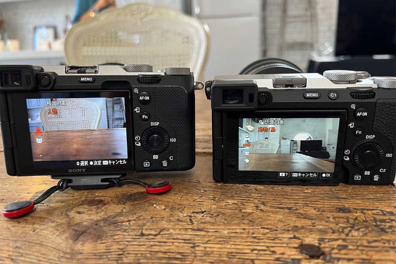 リアルタイム認識AFは「α7C」が人物と動物だけだったが、「α7C II/R」では鳥、昆虫、車、列車、飛行機にも対応