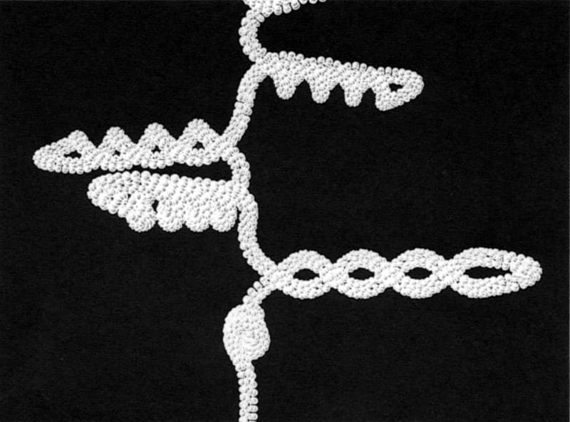 DNAが染色体を形作っていく過程<br><span class="fnt-70">(C)1985 富士通/IMAX/電通/トーヨーリンクス</span>