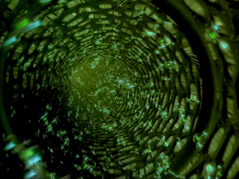 道管を猛スピードで上昇していく水分子<br><span class="fnt-70">(C)1990 富士通/IMAX</span>