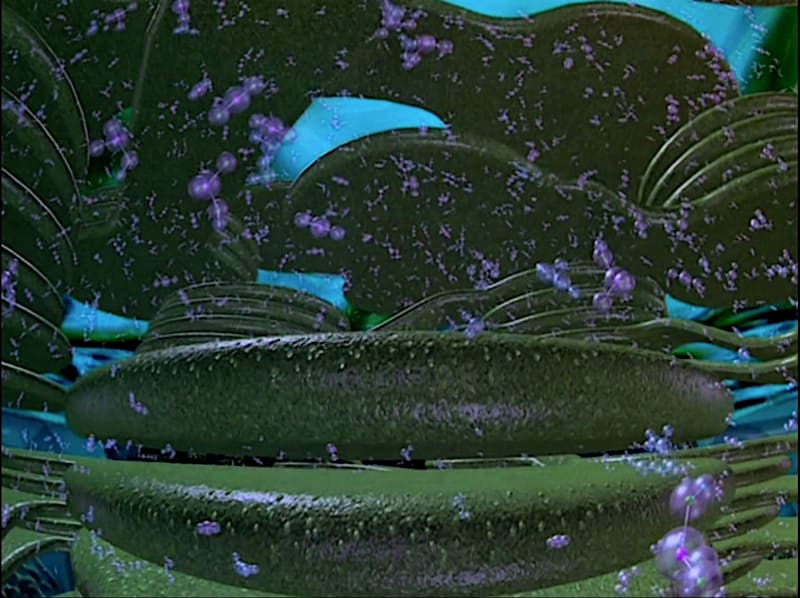 葉緑体内部のチラコイドディスク<br><span class="fnt-70">(C)1990 富士通/IMAX</span>