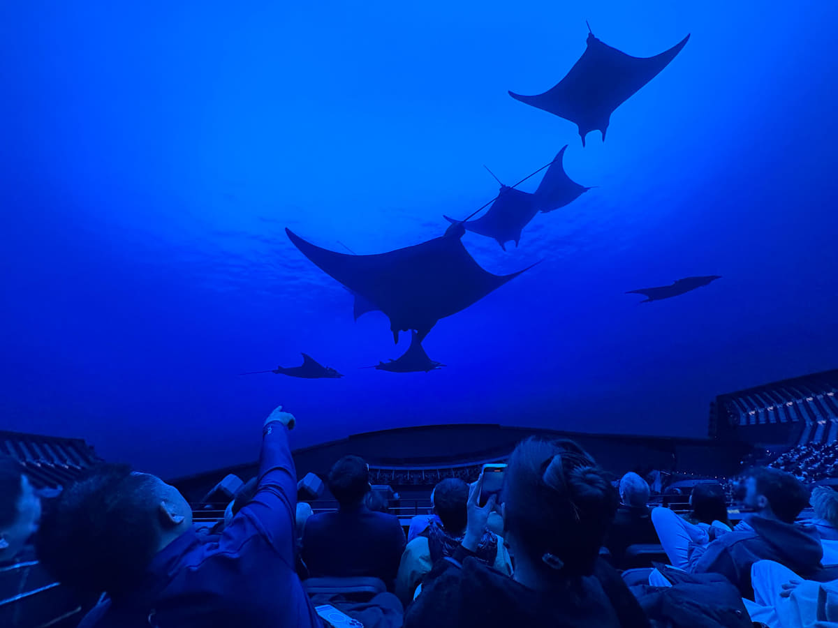 上映時のシアター。圧倒的な解像度と輝度の映像が目の前に迫る