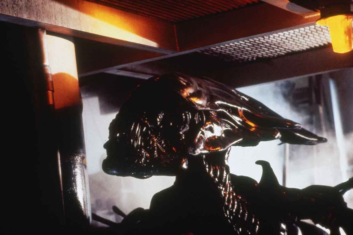 <span class="fnt-70">(C)2024 20th Century Studios.</span>