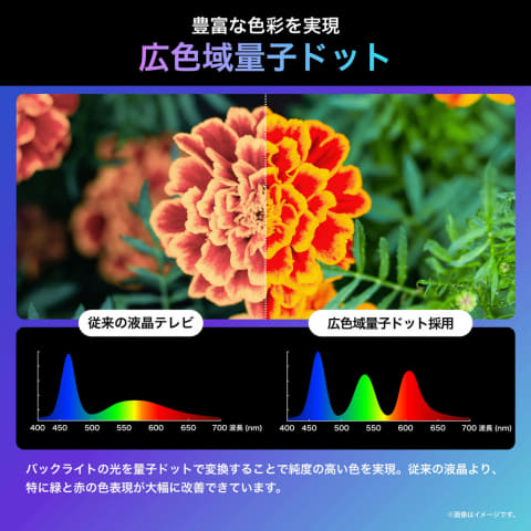 ハイセンス、量子ドット×144Hzのゲーミングテレビ。43型11万円から