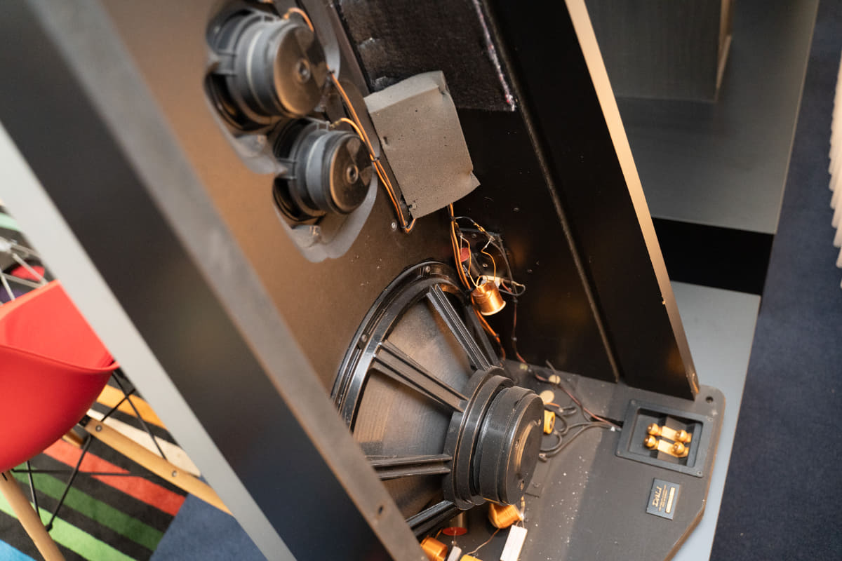 バーチカルツインタイプや長いリボンツイーターとウーファーを組み合わせた「DALI SKYLINE」など、これまでに様々な製品を手掛け、グローバルカンパニーに成長した