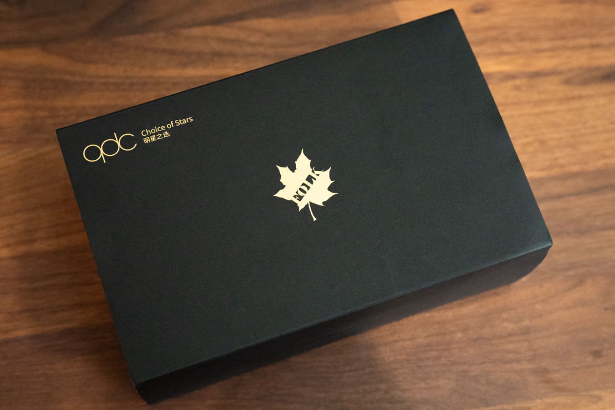 ついにカスタムIEMが届いた！