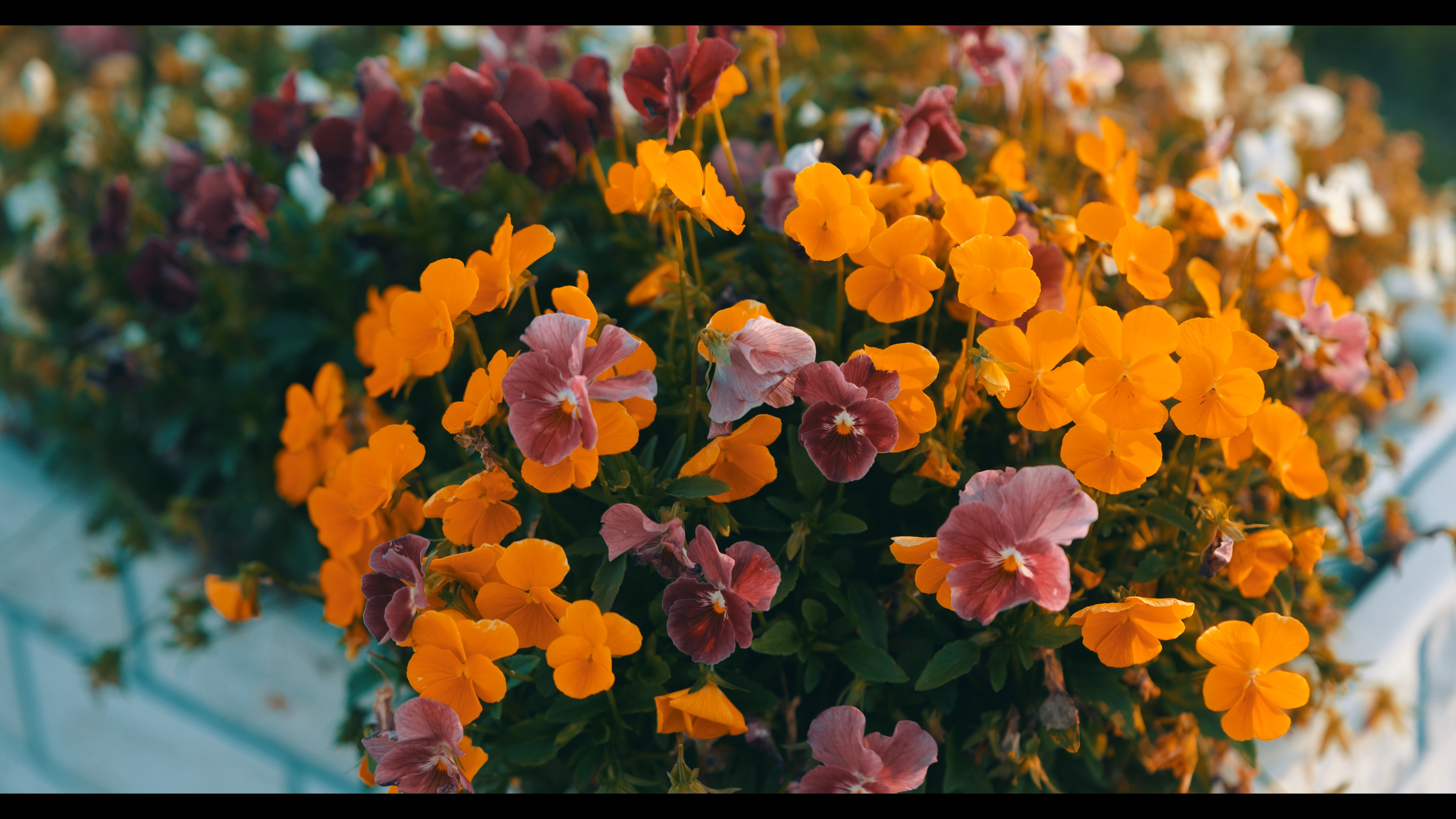 系統：LUT/フォトスタイル：リアルタイムLUT Sample3