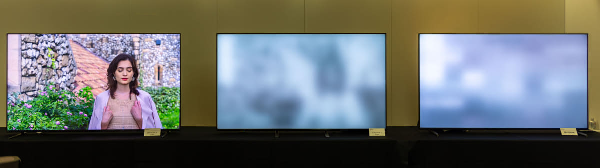 同じく部分駆動のデモ写真。X90Lでは何が映っているか判別できないが、BRAVIA 5は人影のように見えるくらいまで細かく制御できていることが分かる