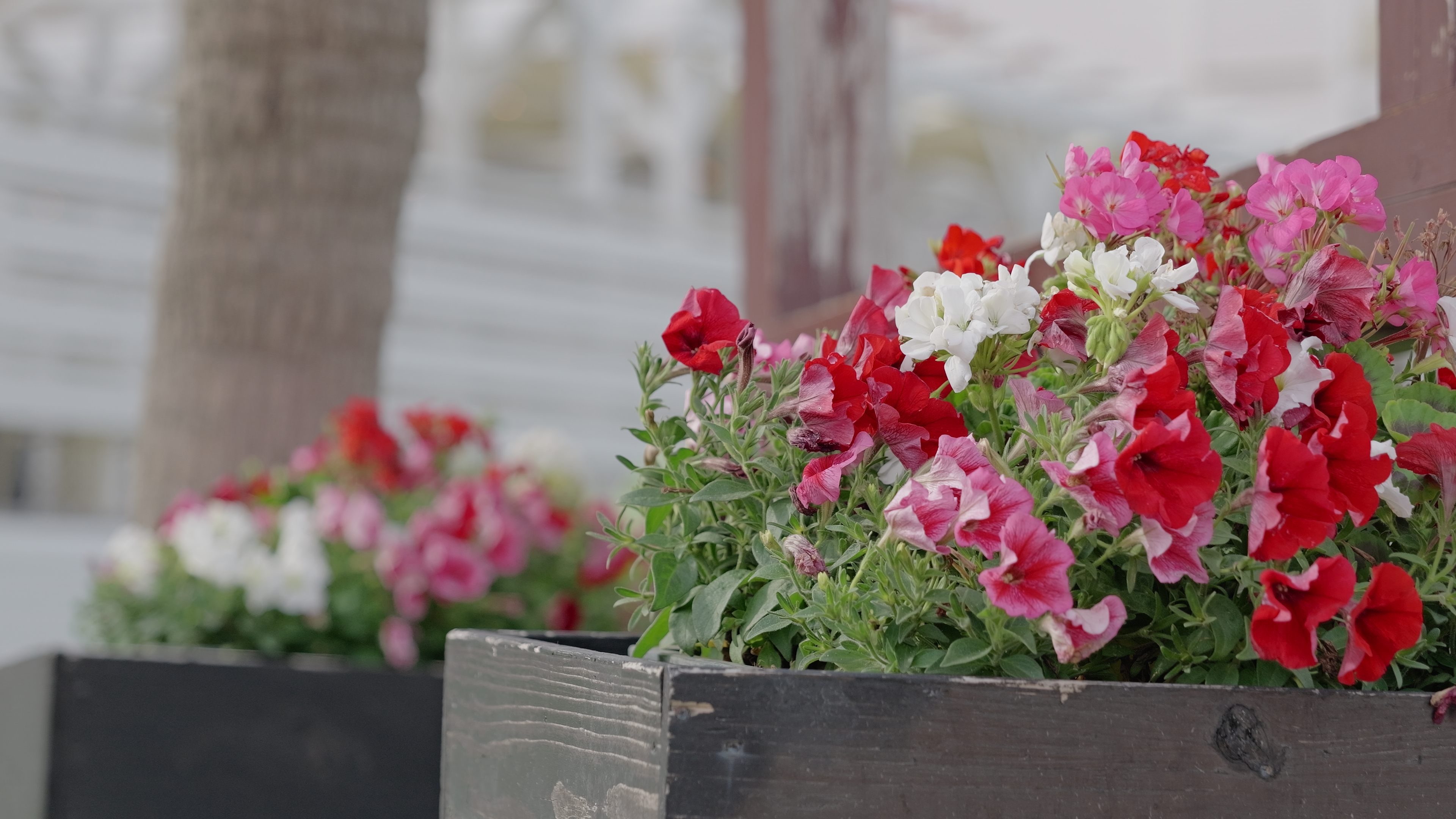 シネライクA2は発色もコントラストも落ち着いたニュアンス