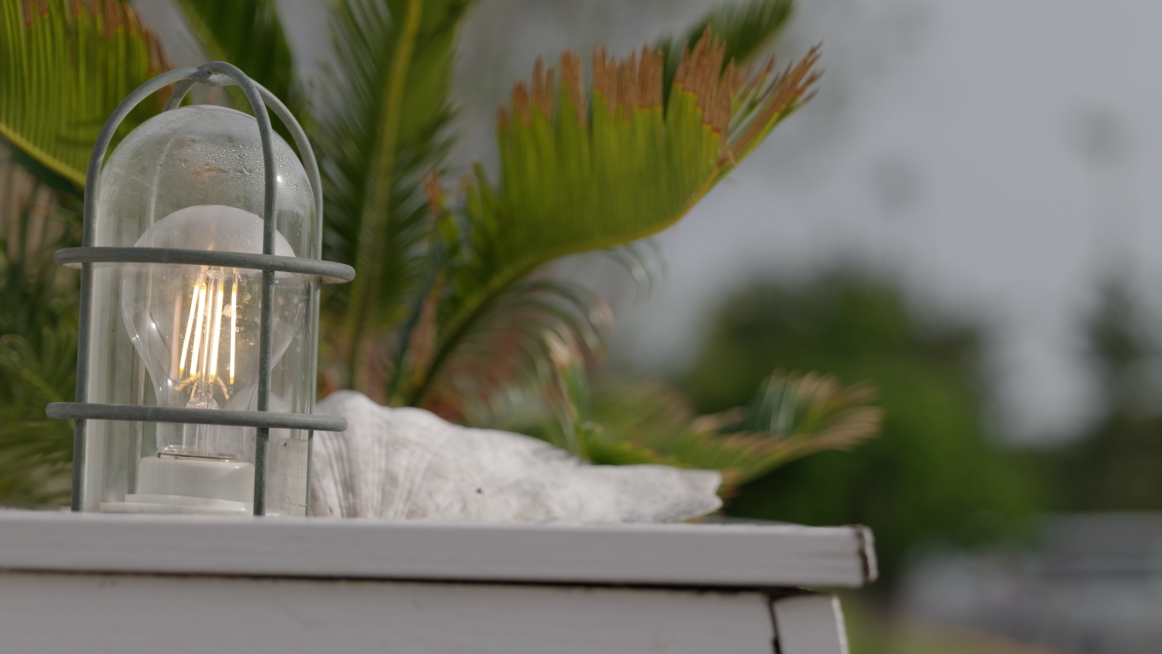 F4でもテレ側なら背景は十分ボケる