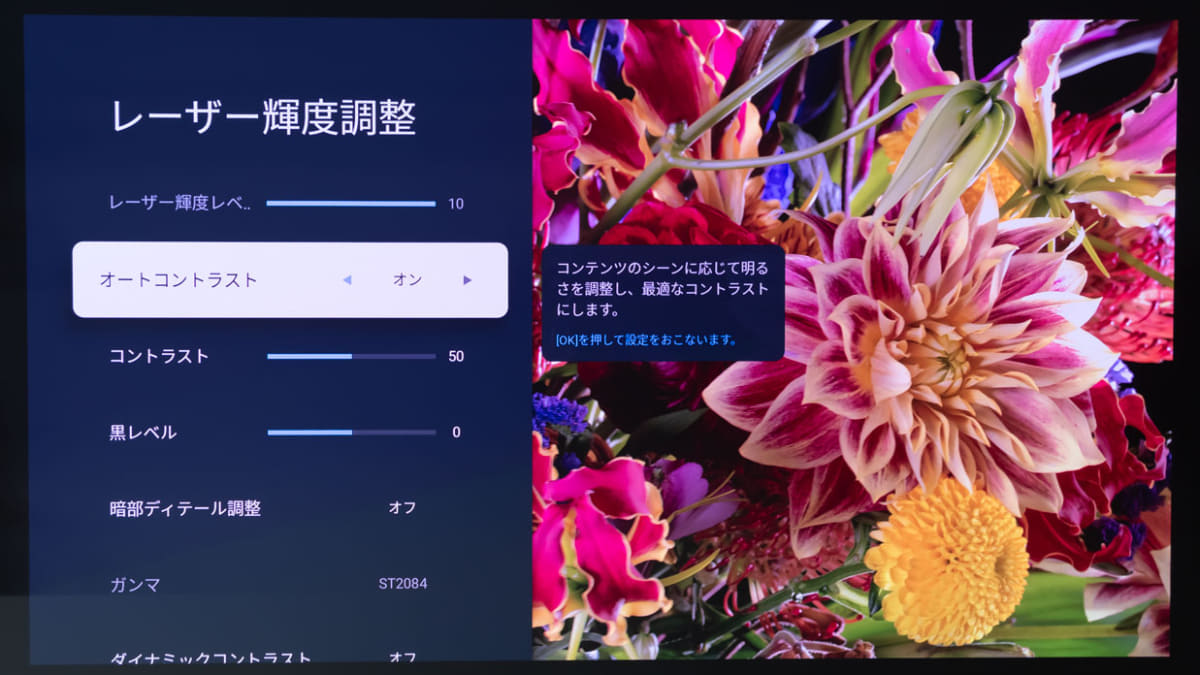 レーザー輝度調整など、マニア層も調整しがいのある映像調整項目を多数用意する