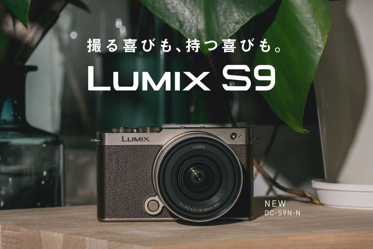 新色チタンゴールド「DC-S9N-N」