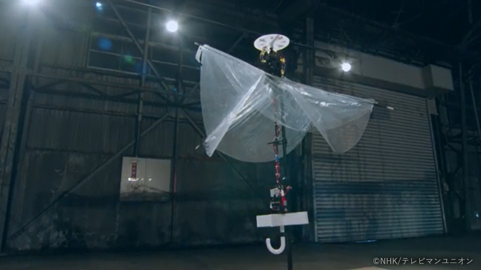 ぱたぱたカサフライ