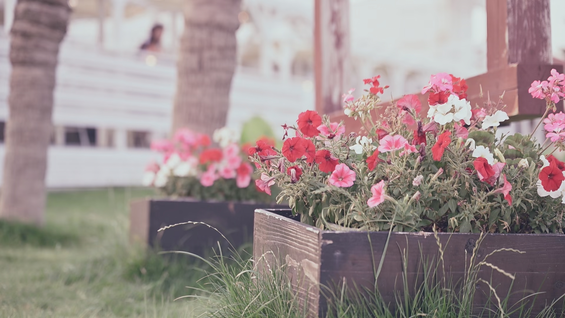 メランコリック