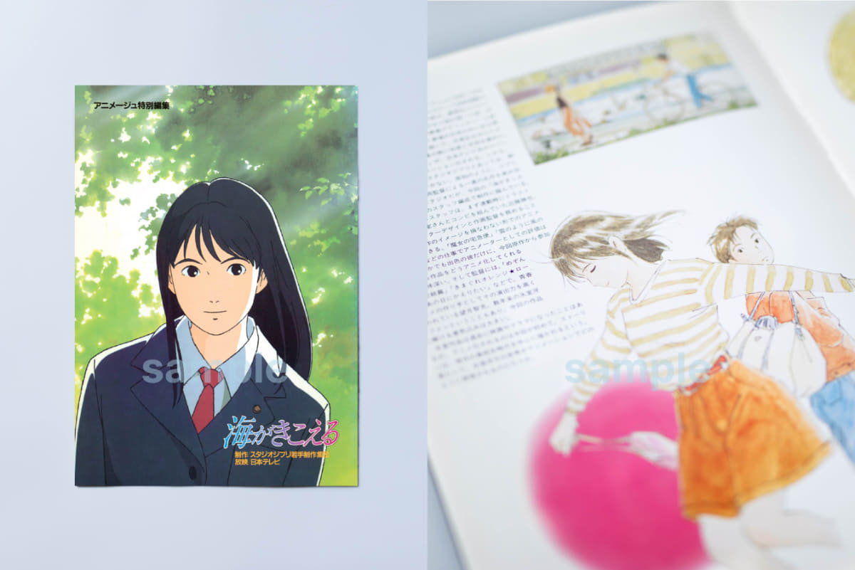 復刻パンフレット<br><span class="fnt-70">(c)1993 Saeko Himuro/Keiko Niwa/Studio Ghibli,N</span>