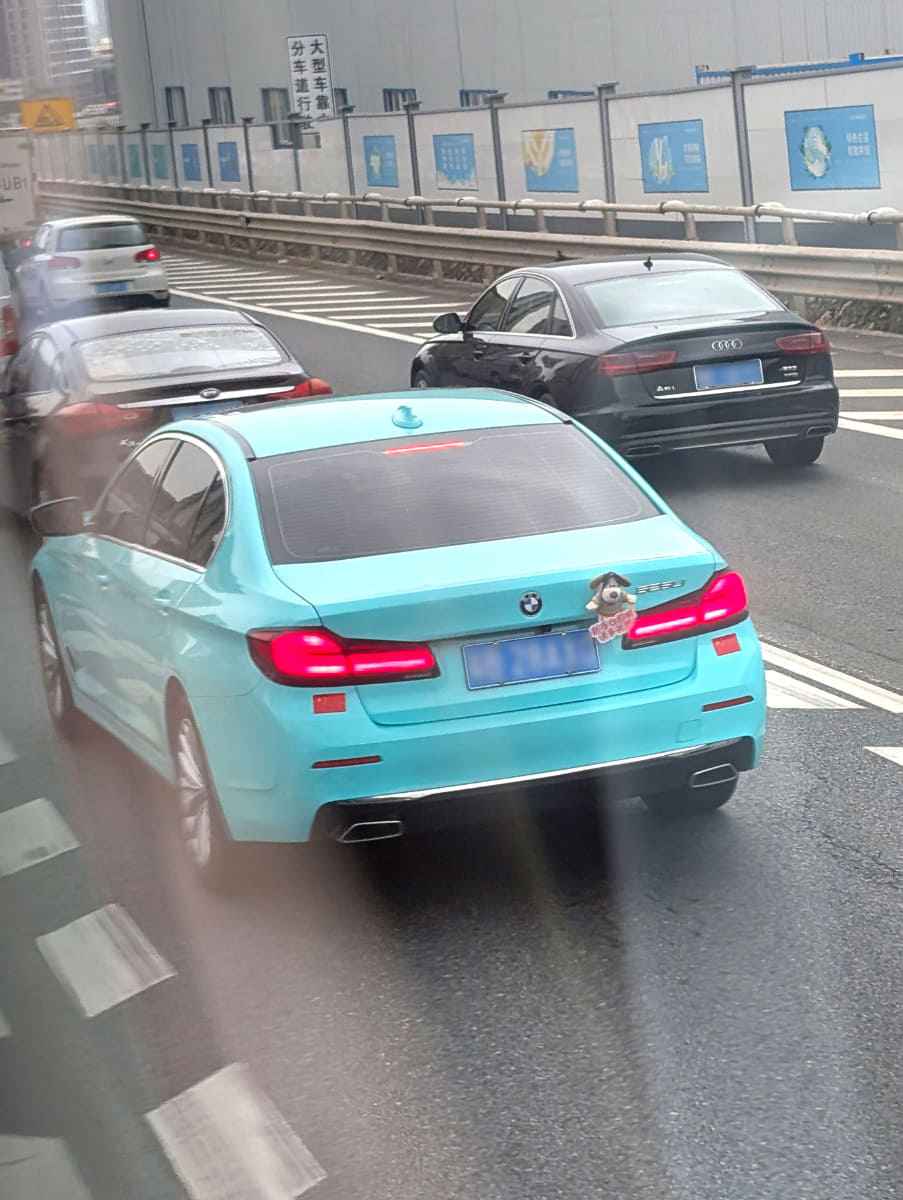 青いナンバープレートはガソリン車。後ろにはグルミットのぬいぐるみも