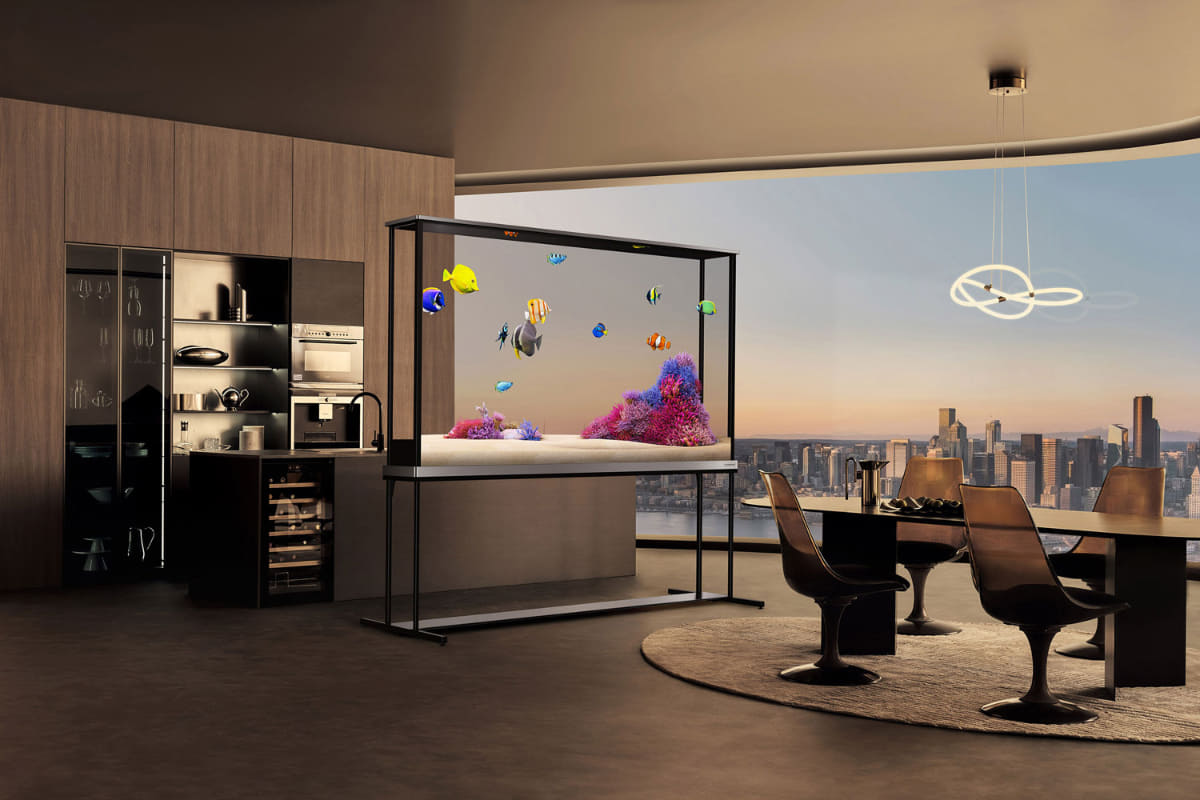 アクアリウムを表示した場合