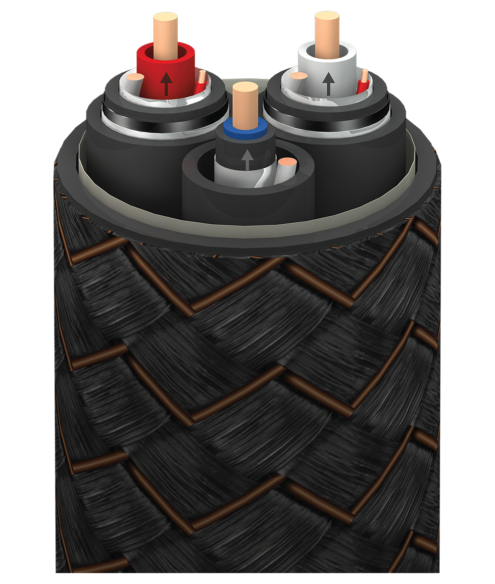 PEGASUSの内部イメージ図。それぞれの導体＋被覆がシールドされているのがわかる