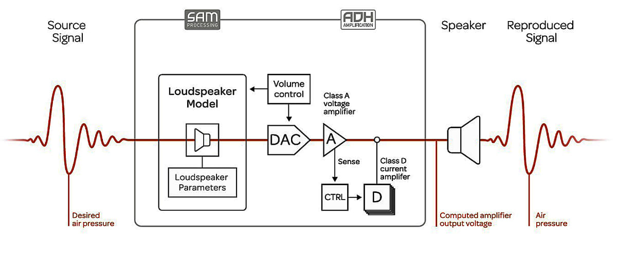 SAMとADH(ADH Amplification)の関係を示した図