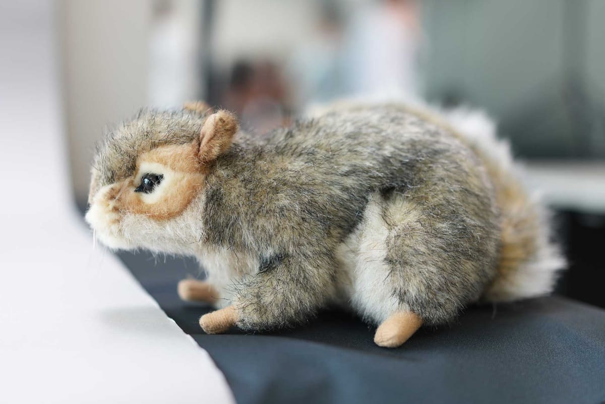 被写体認識を「動物」にすると、動物のぬいぐるみでも瞳にオートフォーカスが合う