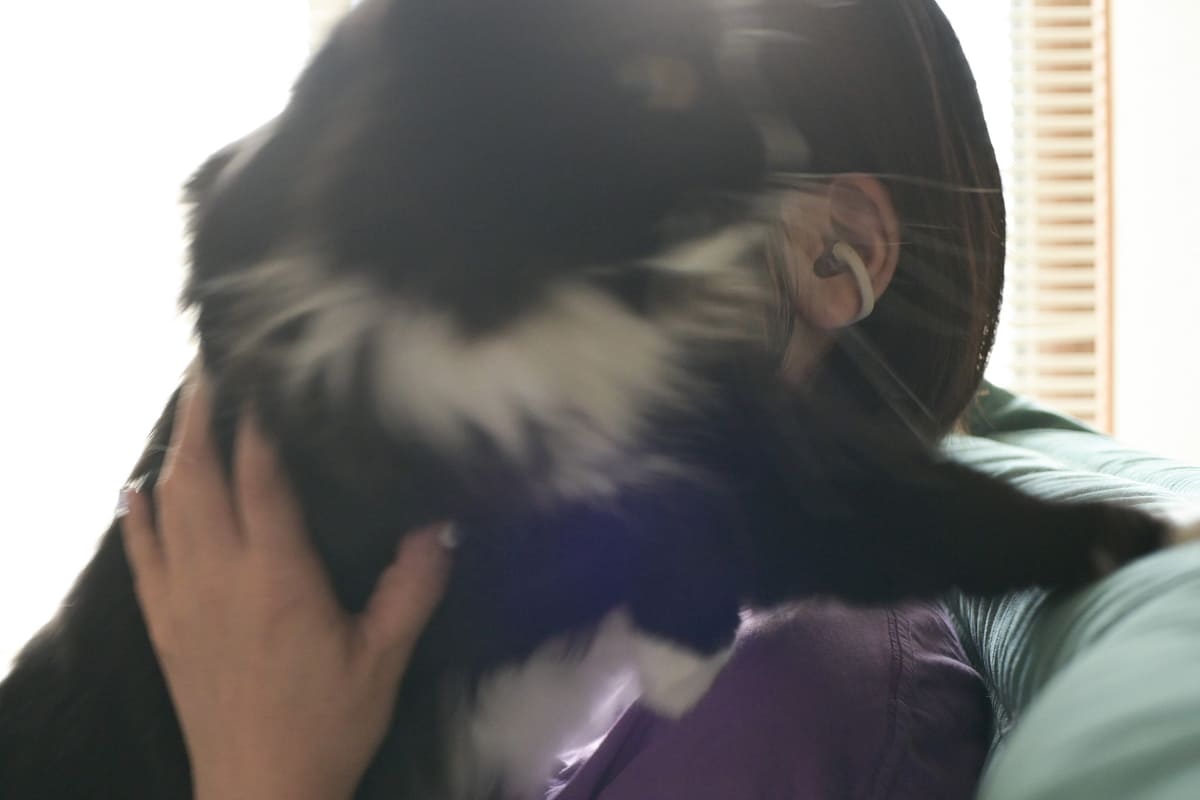 愛猫と遊びながら。まあこの場合は、あんまり音声に集中はできません