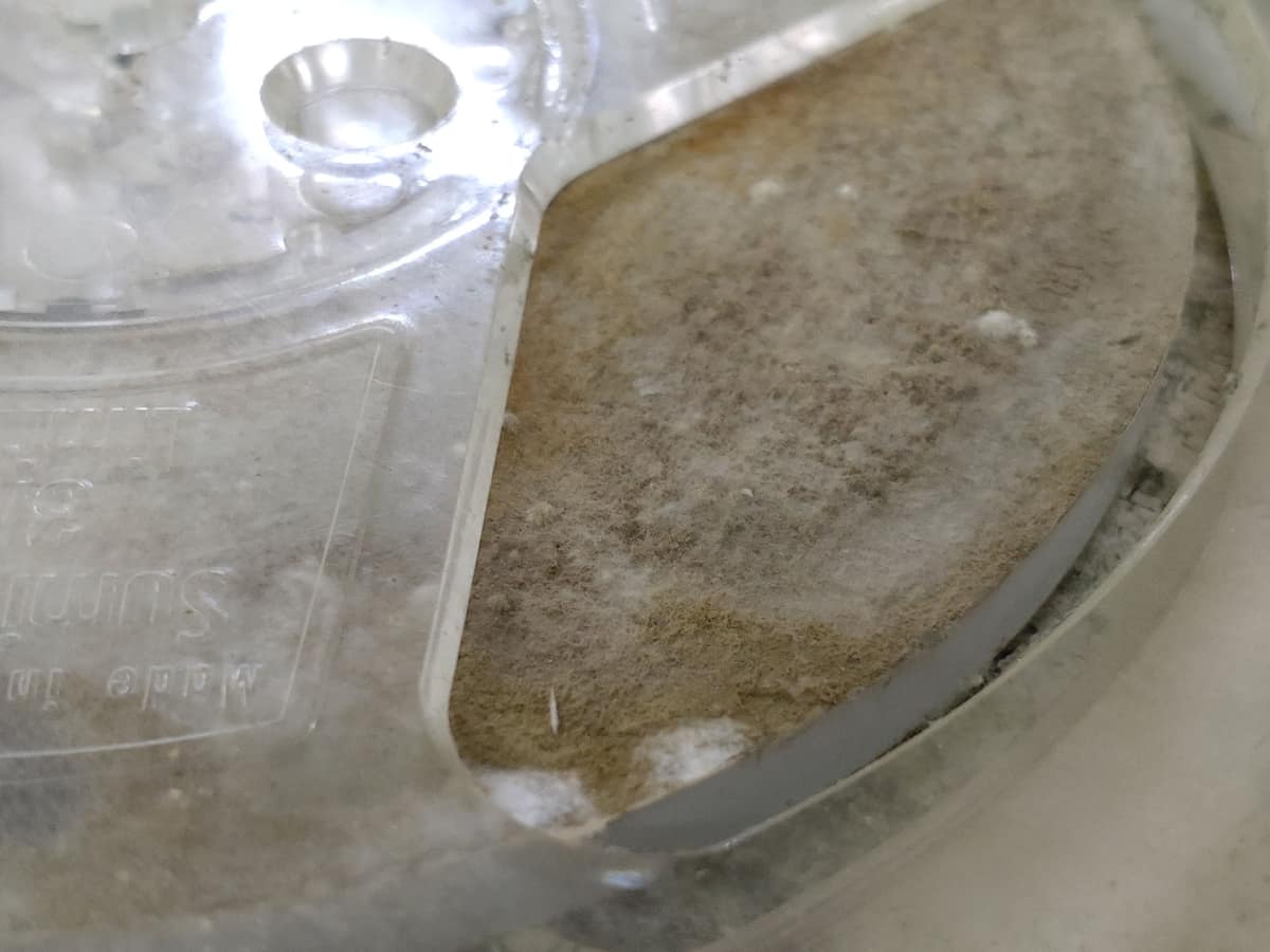 カビの生えてしまったテープの依頼もある