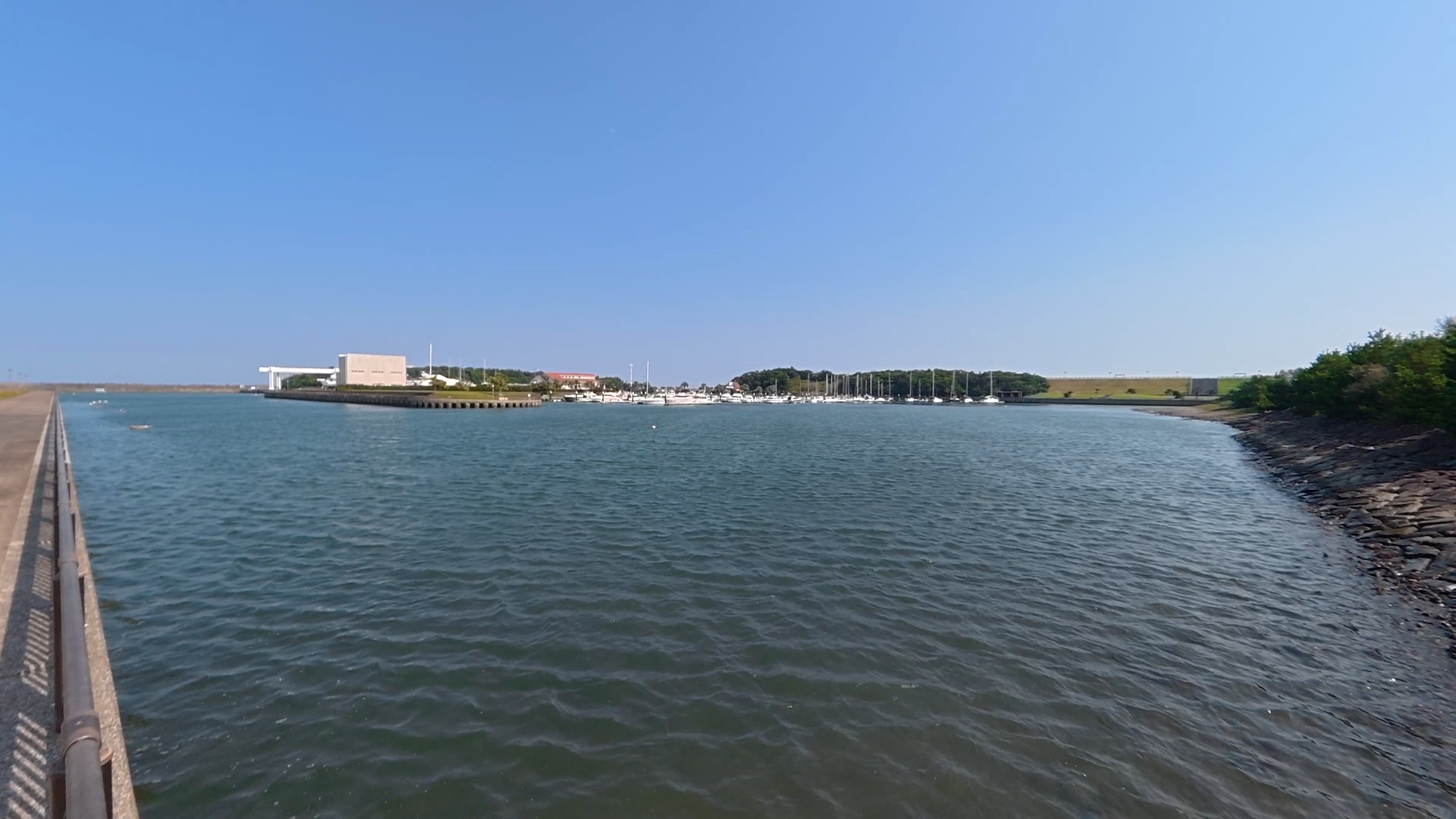 標準(歪み補正)