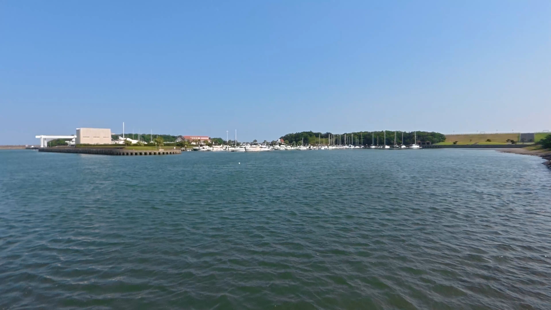 標準+Horizontal Steady