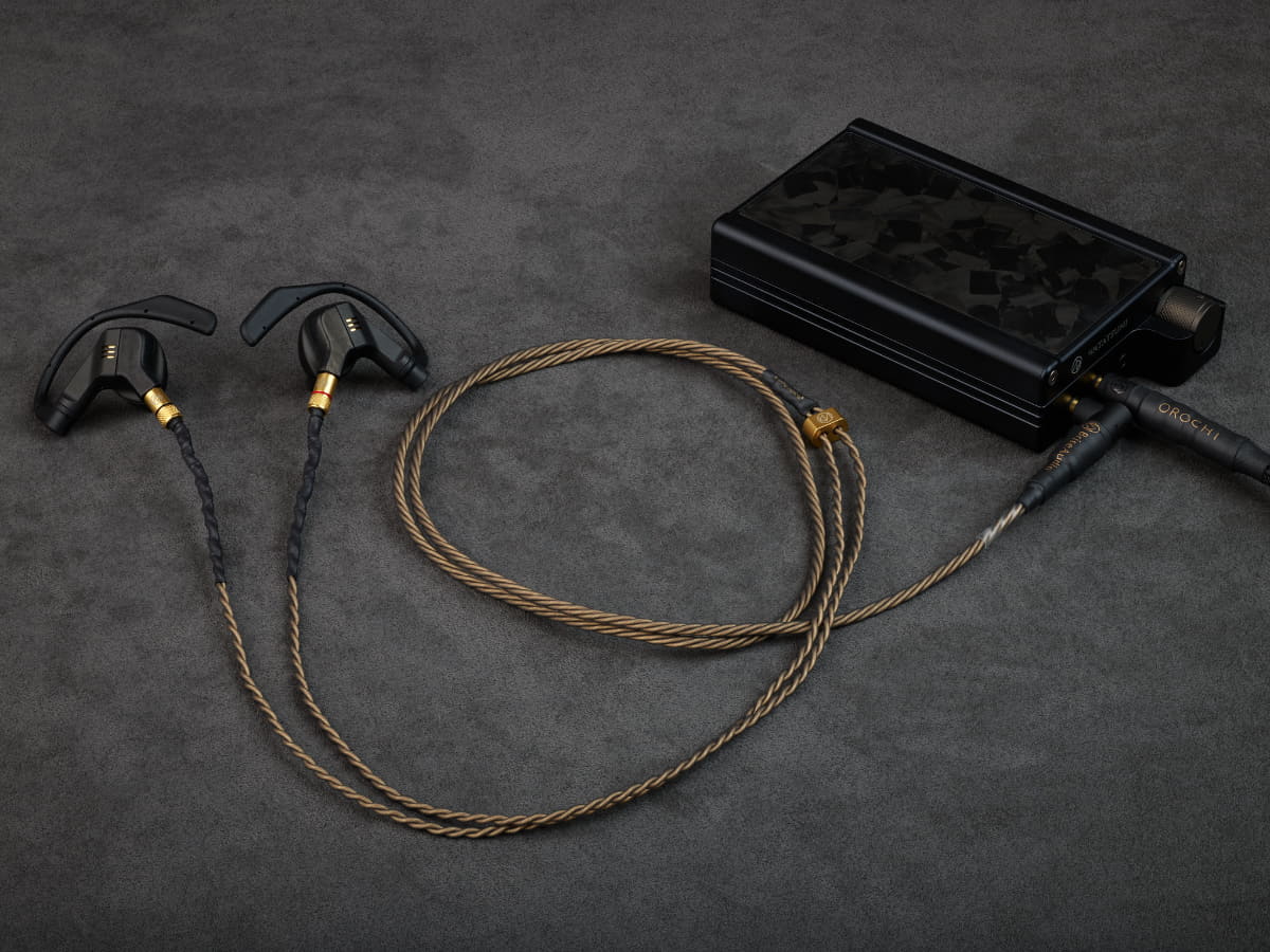 「NISHIKI」の使用イメージ