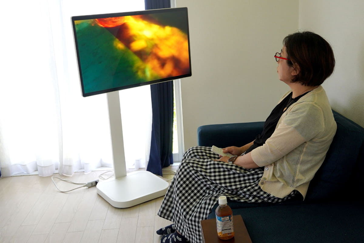 モニターを近くに持ってきてソファで観賞