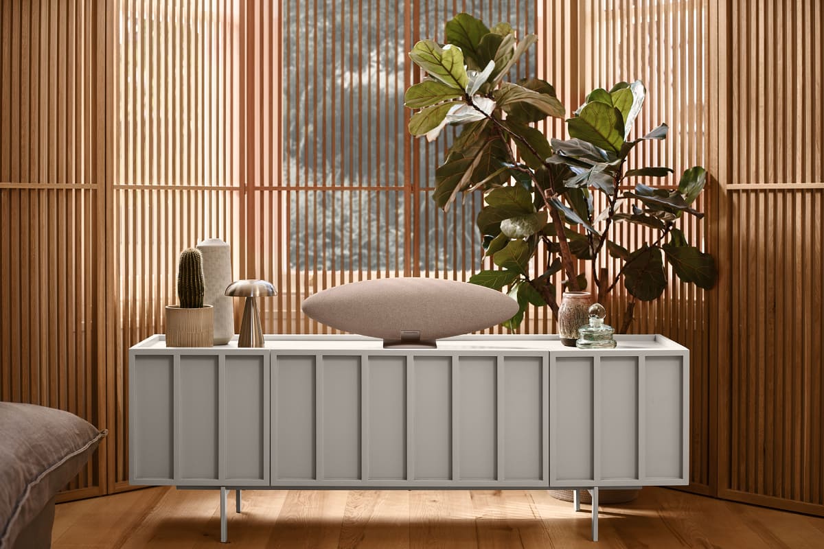 Zeppelin Pro Edition