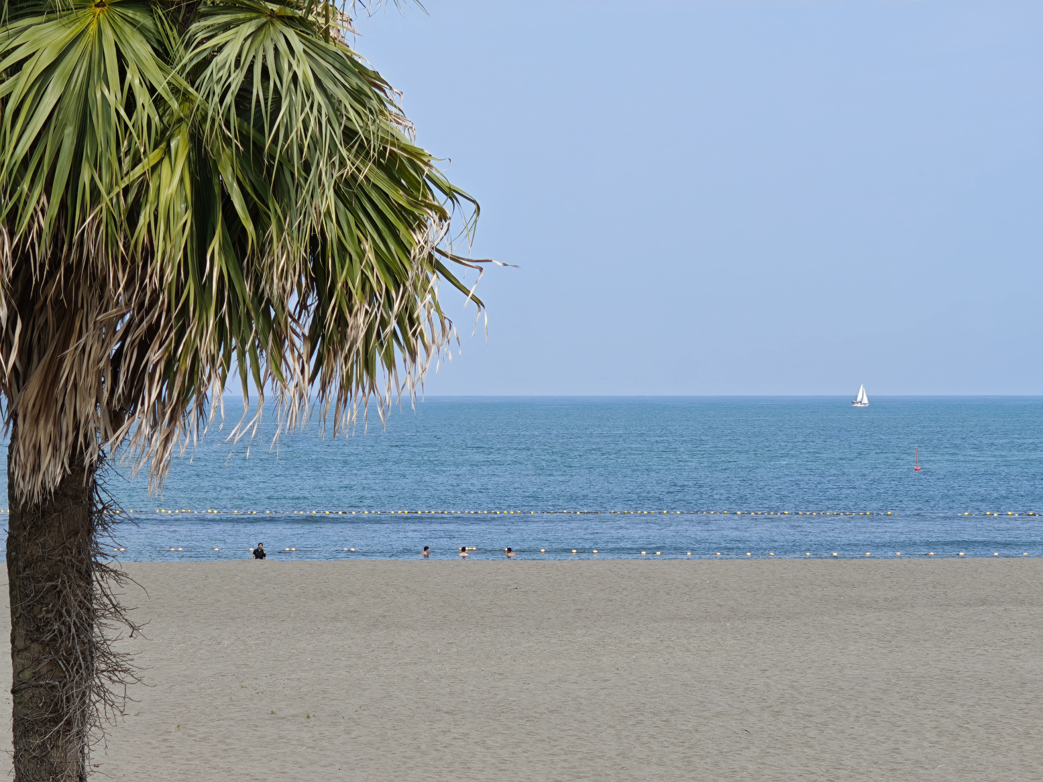 望遠3倍光学ズームもなかなか解像感が高い