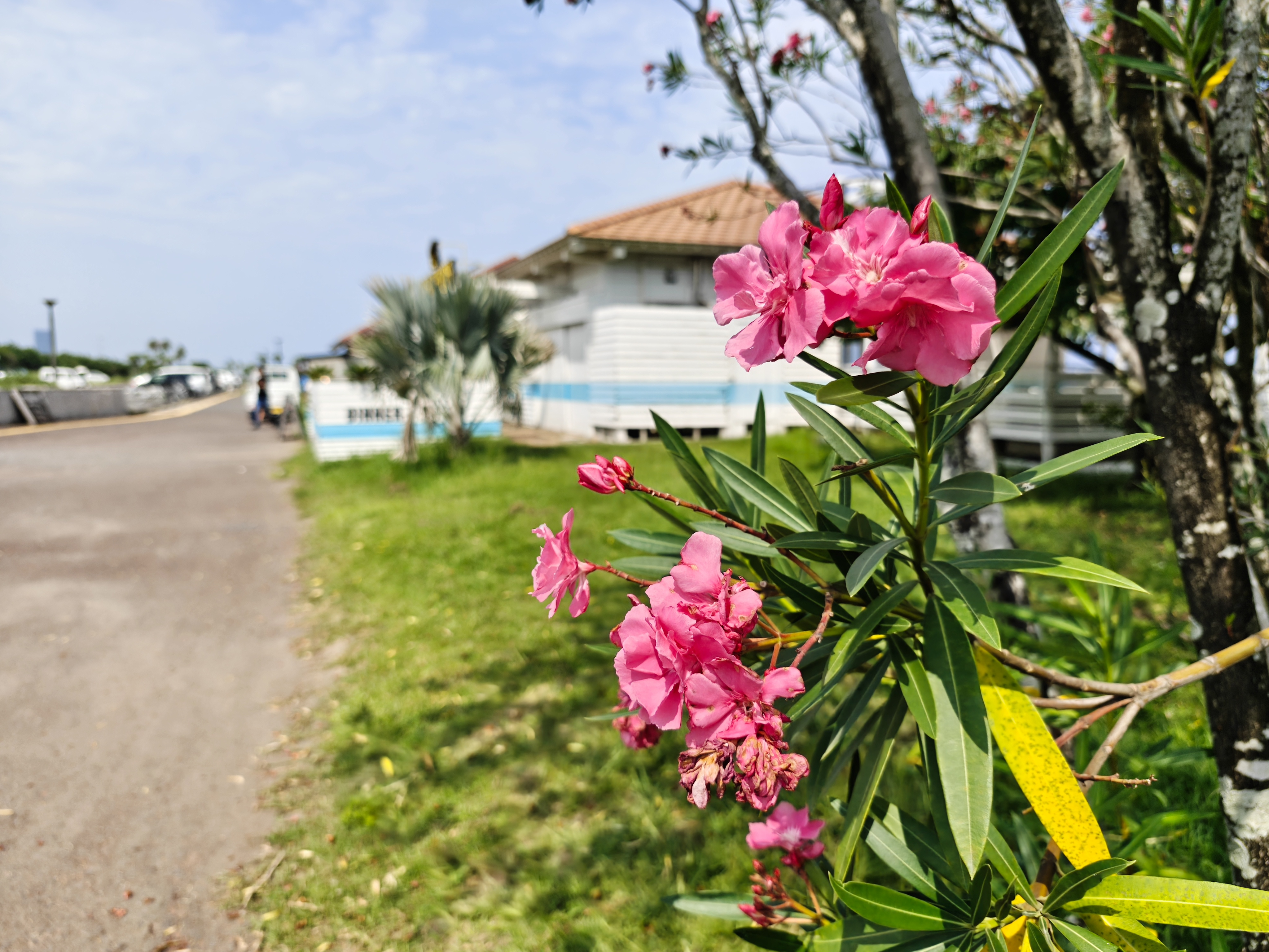 メインカメラは被写界深度も稼げる