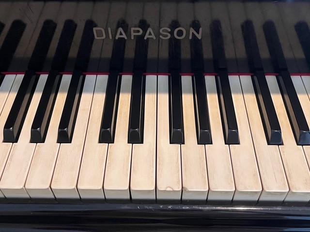 DIAPASONの鍵盤部。薄汚れているようだが、実は象牙貼りでありその模様が見えている。このブランドは目下河合楽器傘下の高級独立ブランドになっているが、この実機は独立時代の貴重品とのこと