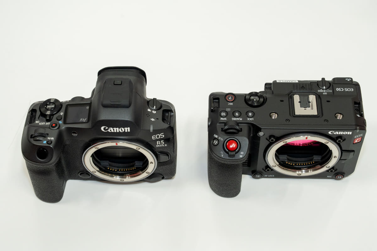 EOS R5 Mark II(写真左)との大きさ比較