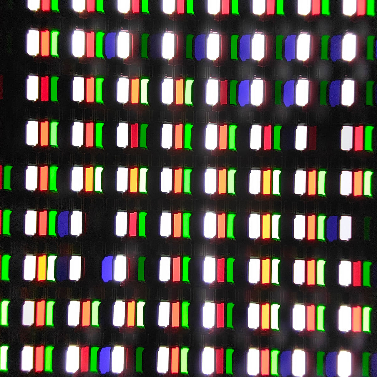 光学30倍顕微鏡写真