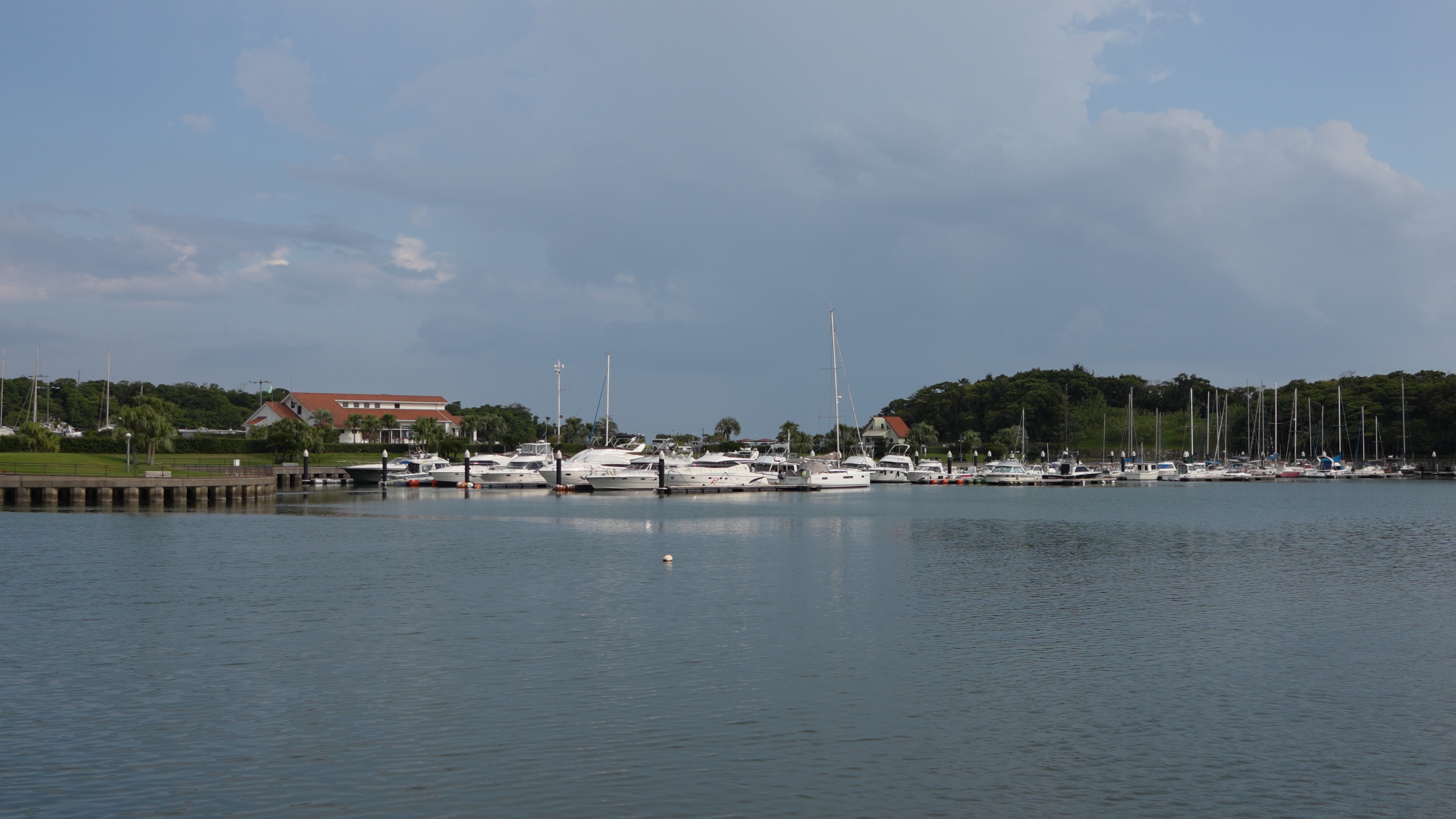 動画：35mm アクティブ手ブレ補正