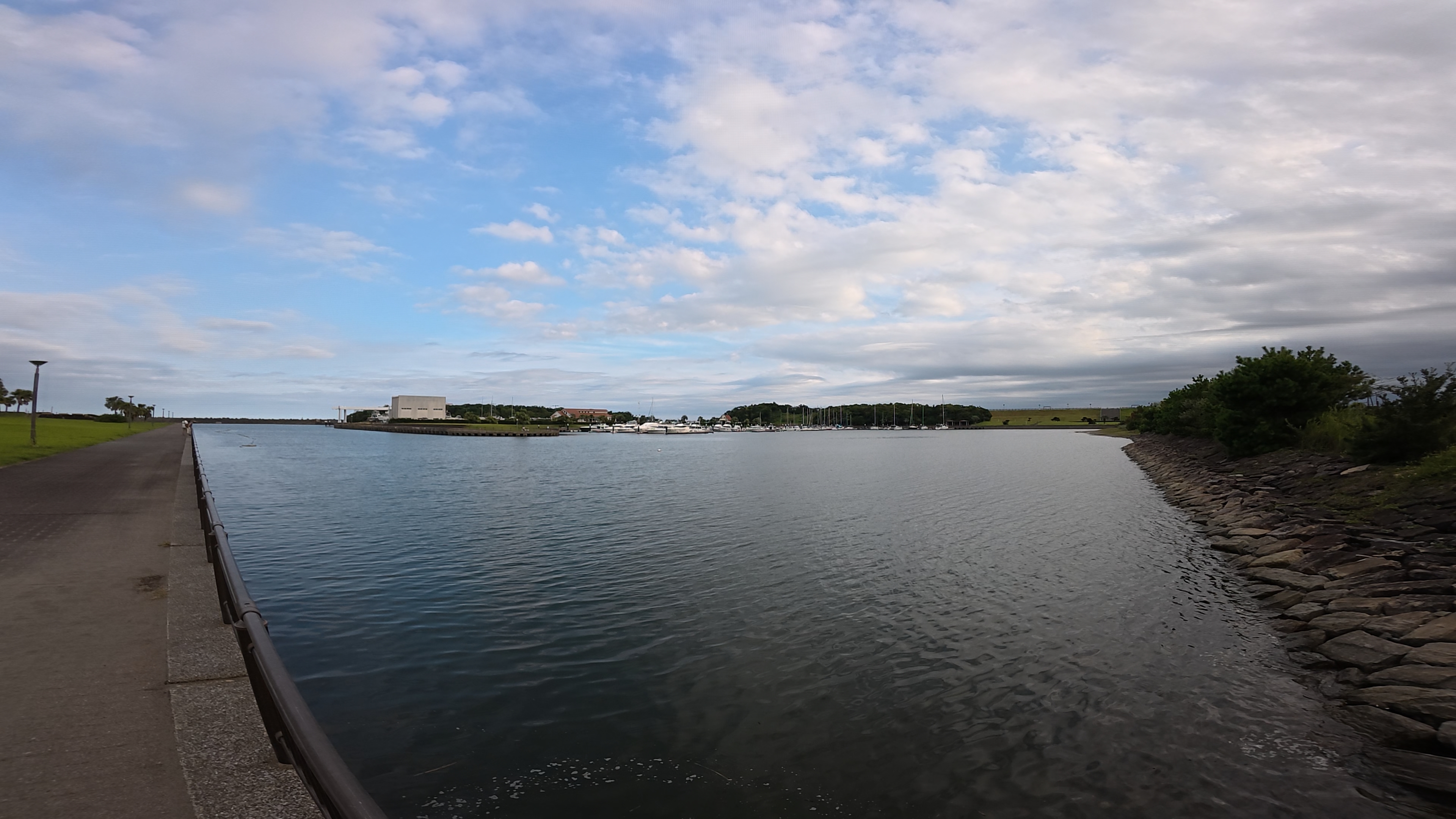 動画：超広角