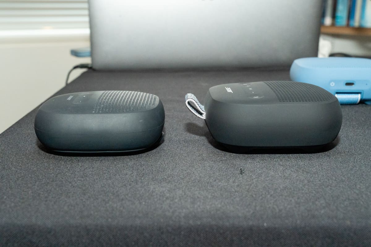 第2世代(右)の方が少し大きくなっている