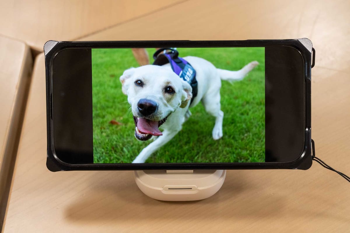 ツメを跳ね上げることでケースをスマホスタンドとして利用可能に。iPhone 16 Proは問題なく置けた
