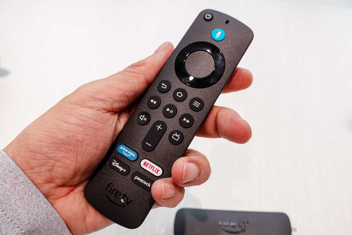 リモコン。インスタントボタンがアメリカ仕様だが、日本のものと形状などは同じ